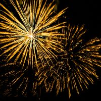 Golden fireworks bursting against a dark night sky
